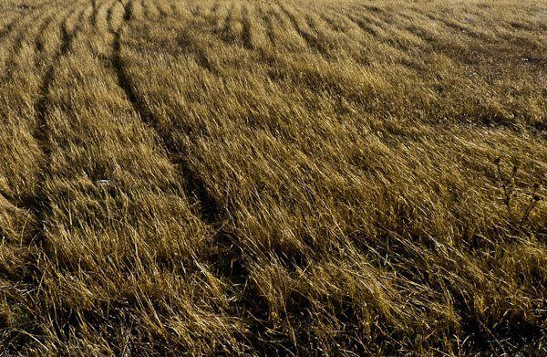 Φωτ: © Νέκτη Σταμέλου