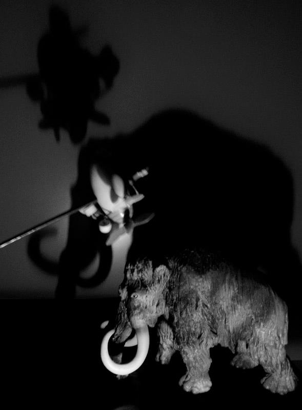 φωτ.: © Νίκος Τεντόμας