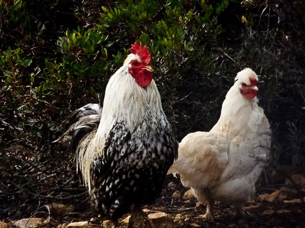 φωτ.: αρχείο Ομάδας Αερόστατο