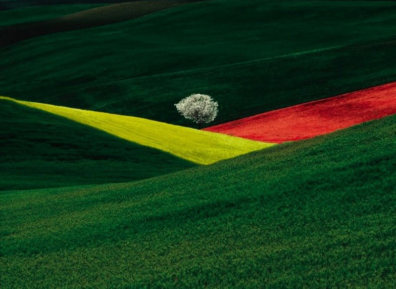 φωτ.: Gabriellena Franco Fontana