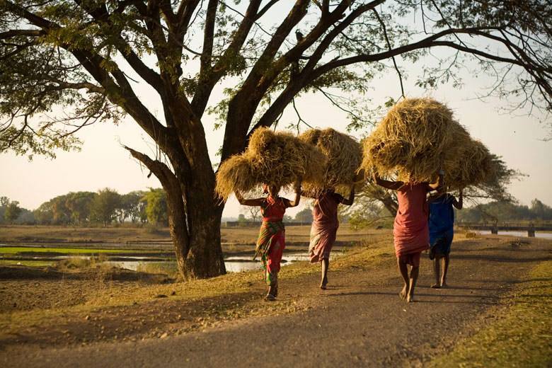 10808311_625784477533905_1852807620_n